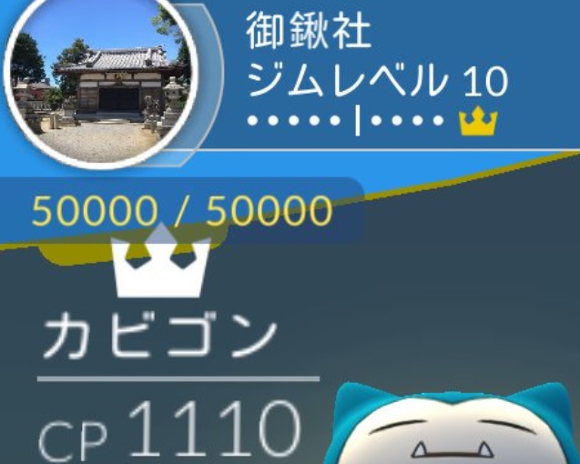 ポケモンgo遊び方 Com